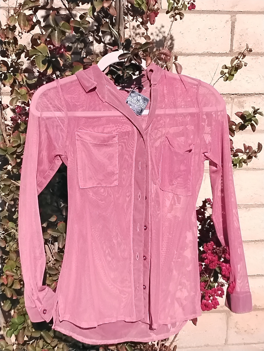 Fashion Brand Company Dusty Rose Sheer Button-Down Shirt